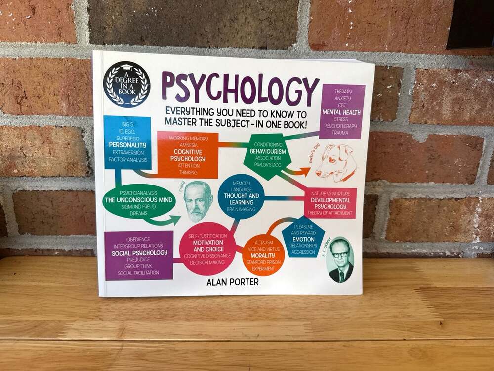 A Degree in a Book: Psychology by Alan Porter (Paperback)